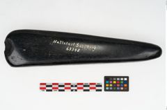 Foto von Steindechsel (NHMW-PRAE-063348)